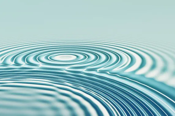 Zenbet Casaíne Tacaíocht